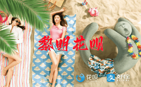 以毒攻毒花呗